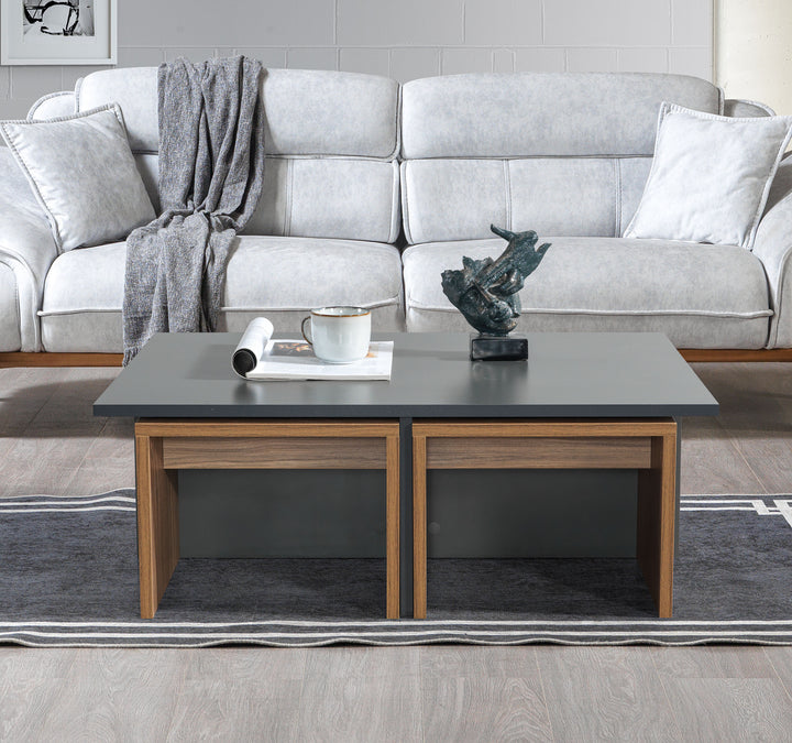 Chest Coffee Table Anthracite - Kaman